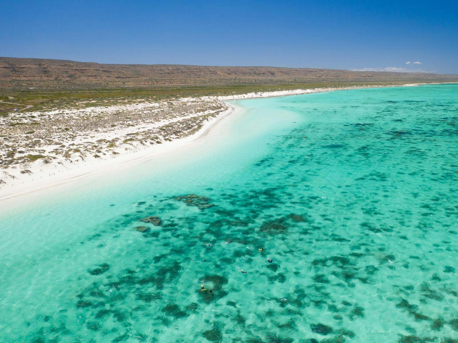 Ningaloo reef