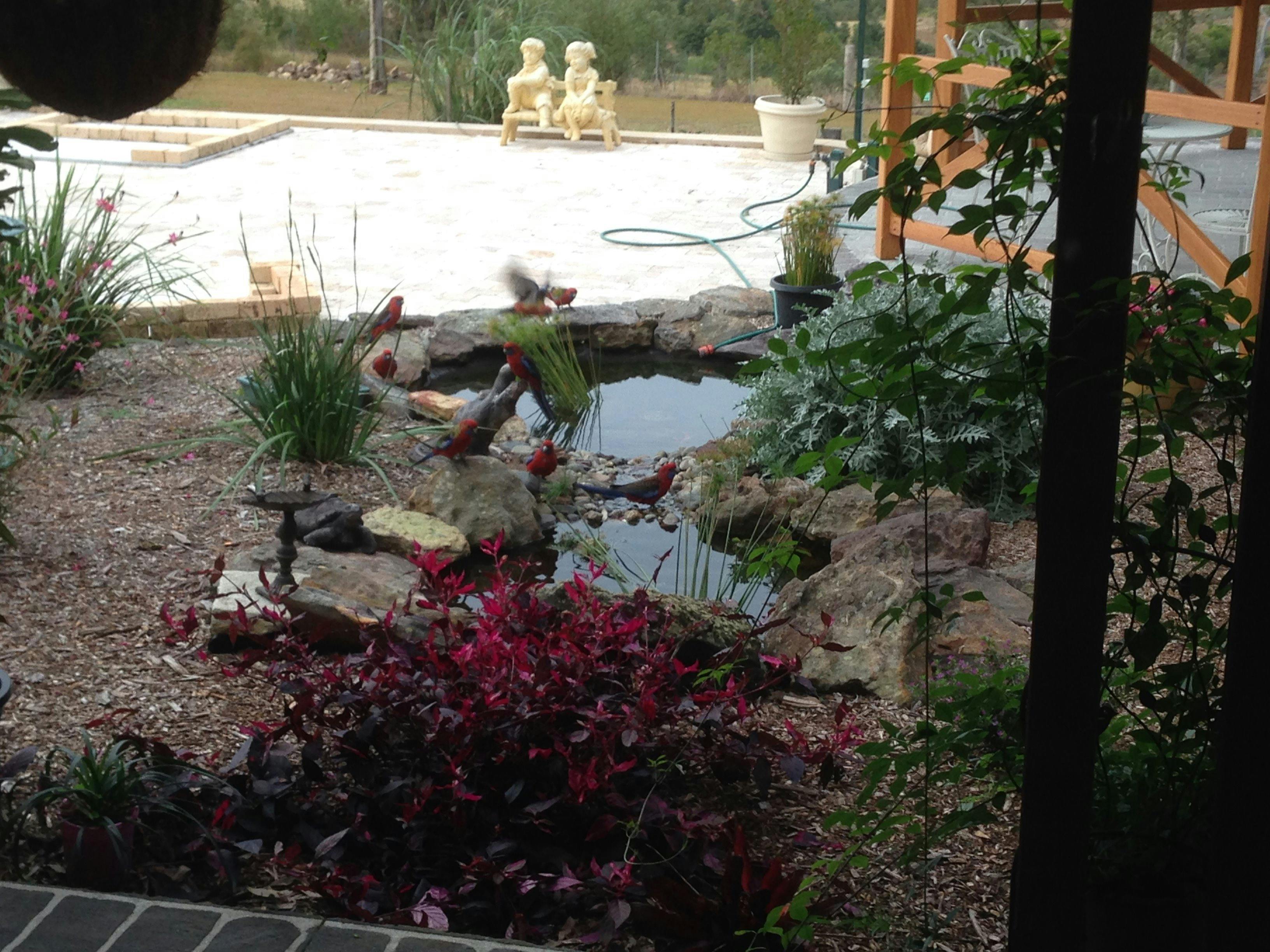 BellbirdHillベッド＆ブレックファースト