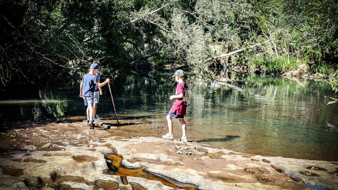 Rocky platform along Cascade Walking Track