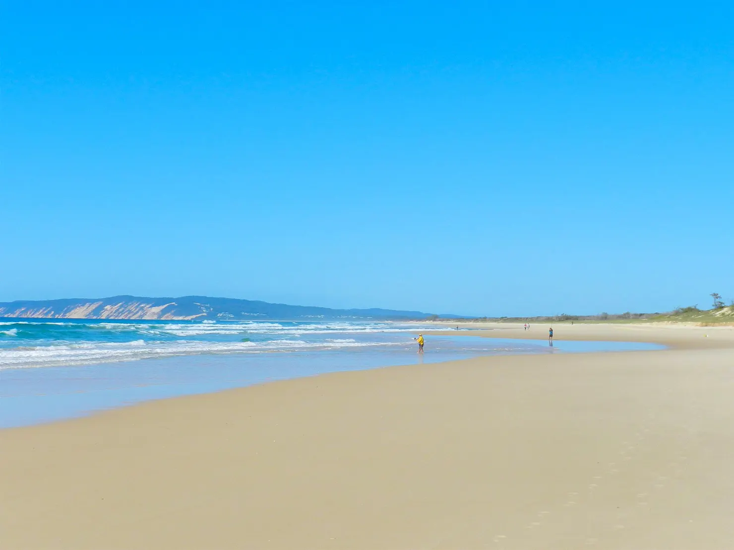 People fishing at the beach.