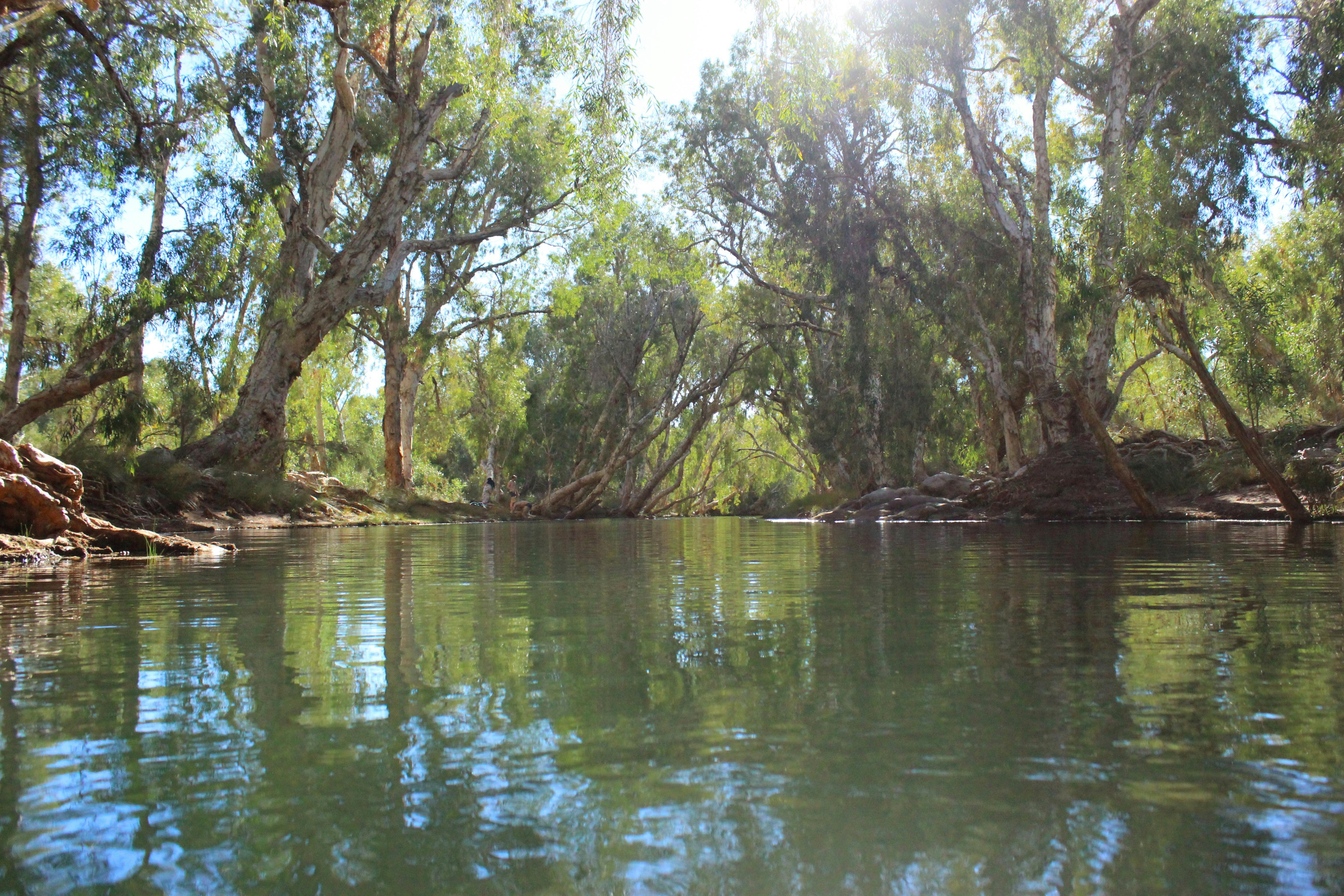 DACA Tours, Laverton, Western Australia