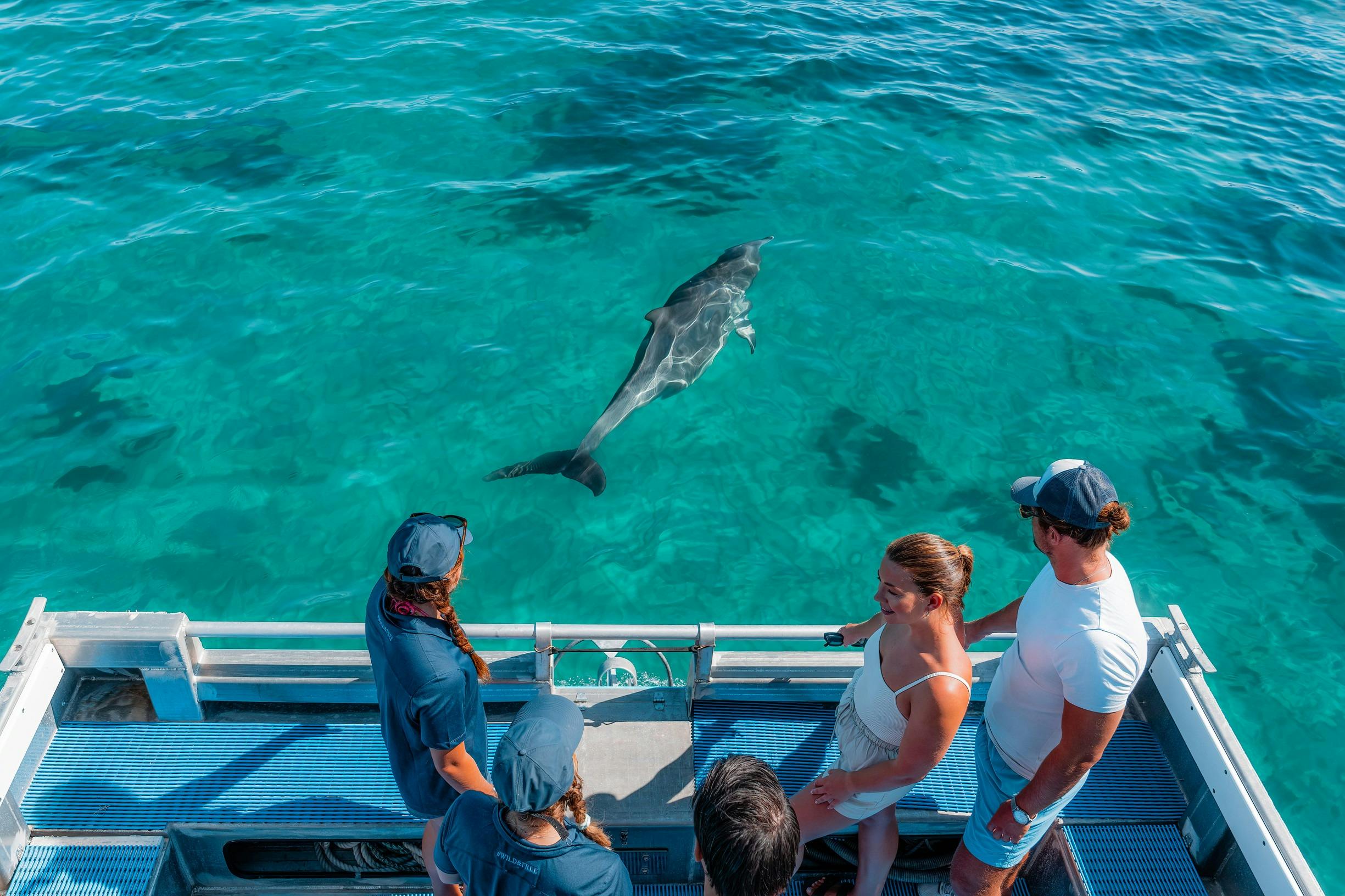 Working Holiday Maker at Perth Wildlife Encounters, Rockingham
