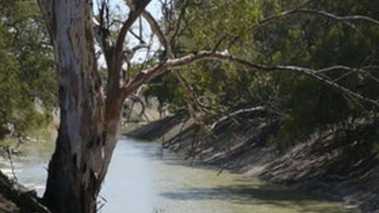 Darling River Run