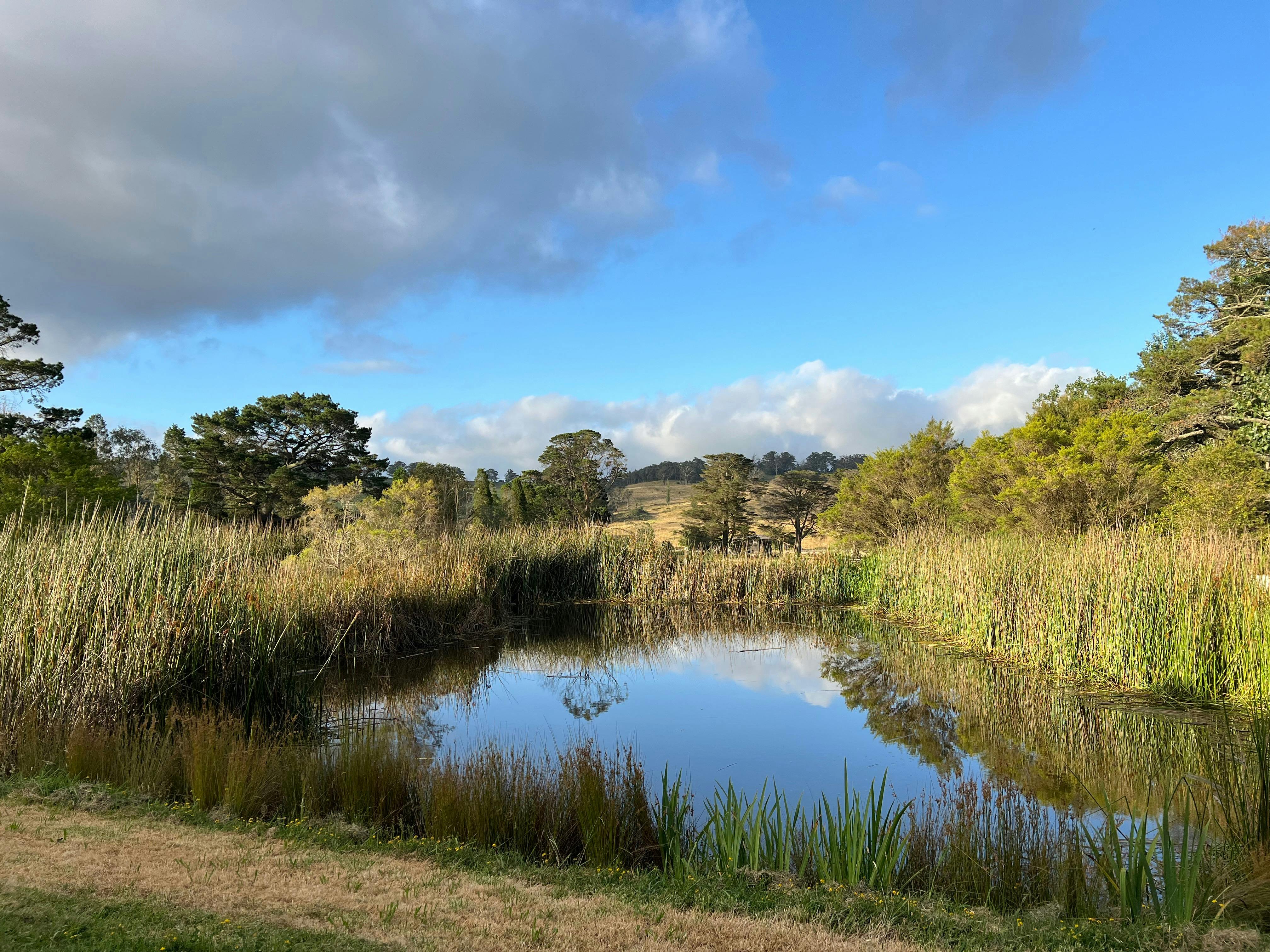 Our site is beautiful with its