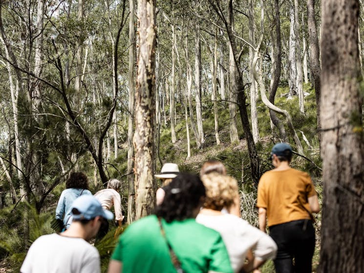 A group of bushwalkers being guided through the Bundanon landscape