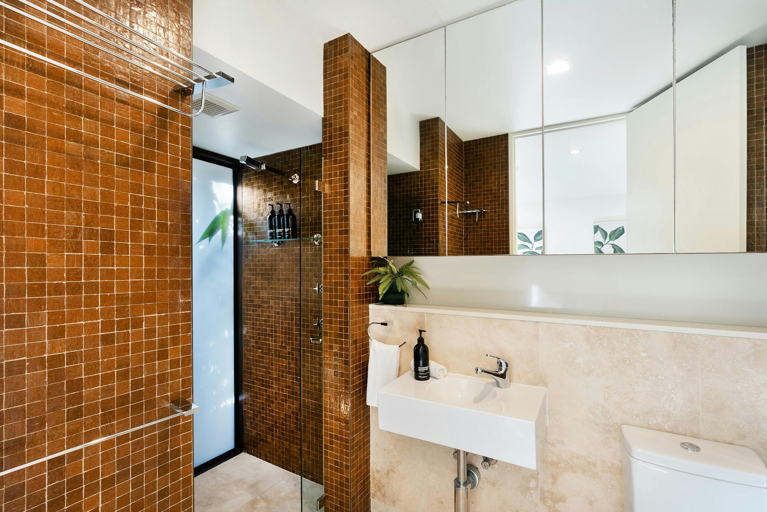 Palms at Piana, Photographer Russell Quinn