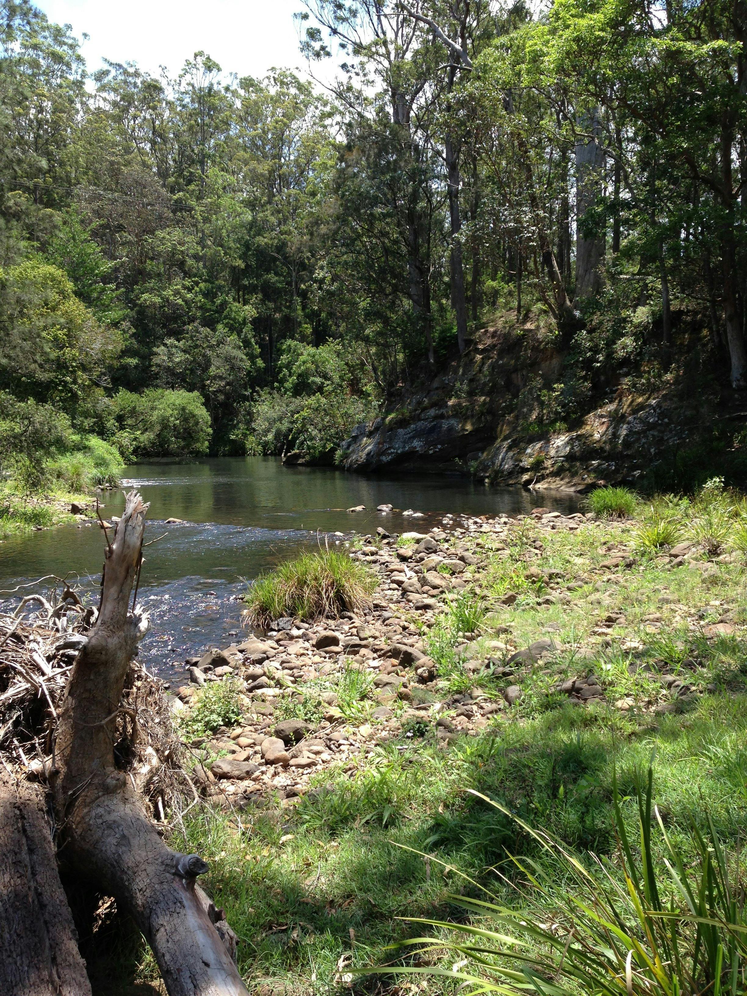Numinbah Valley Adventure  Camping