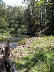 Numinbah Valley Adventure  Camping