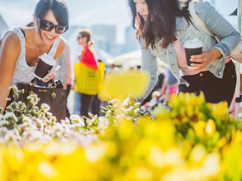 Pyrmont Growers Market