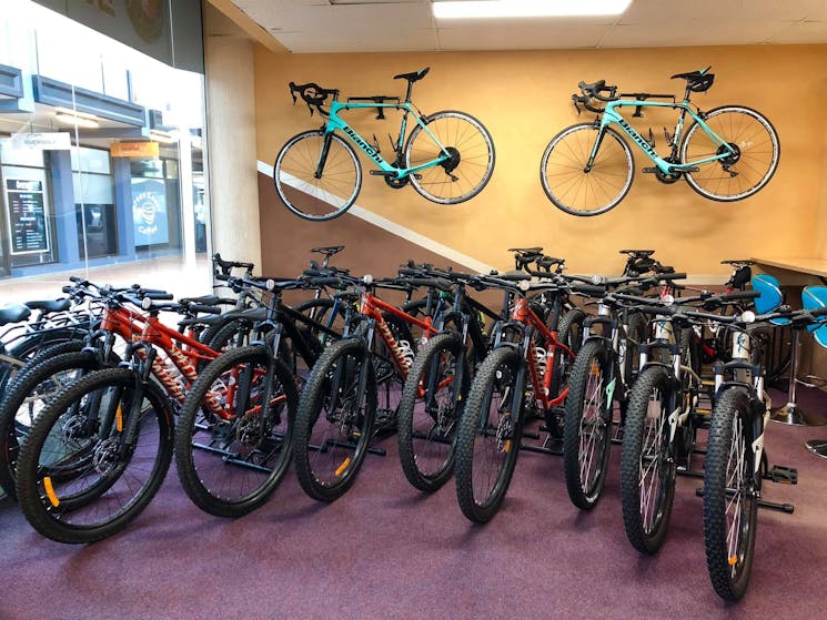 We have a wide range of late model road bikes, mountain bikes and e-bikes in great condition