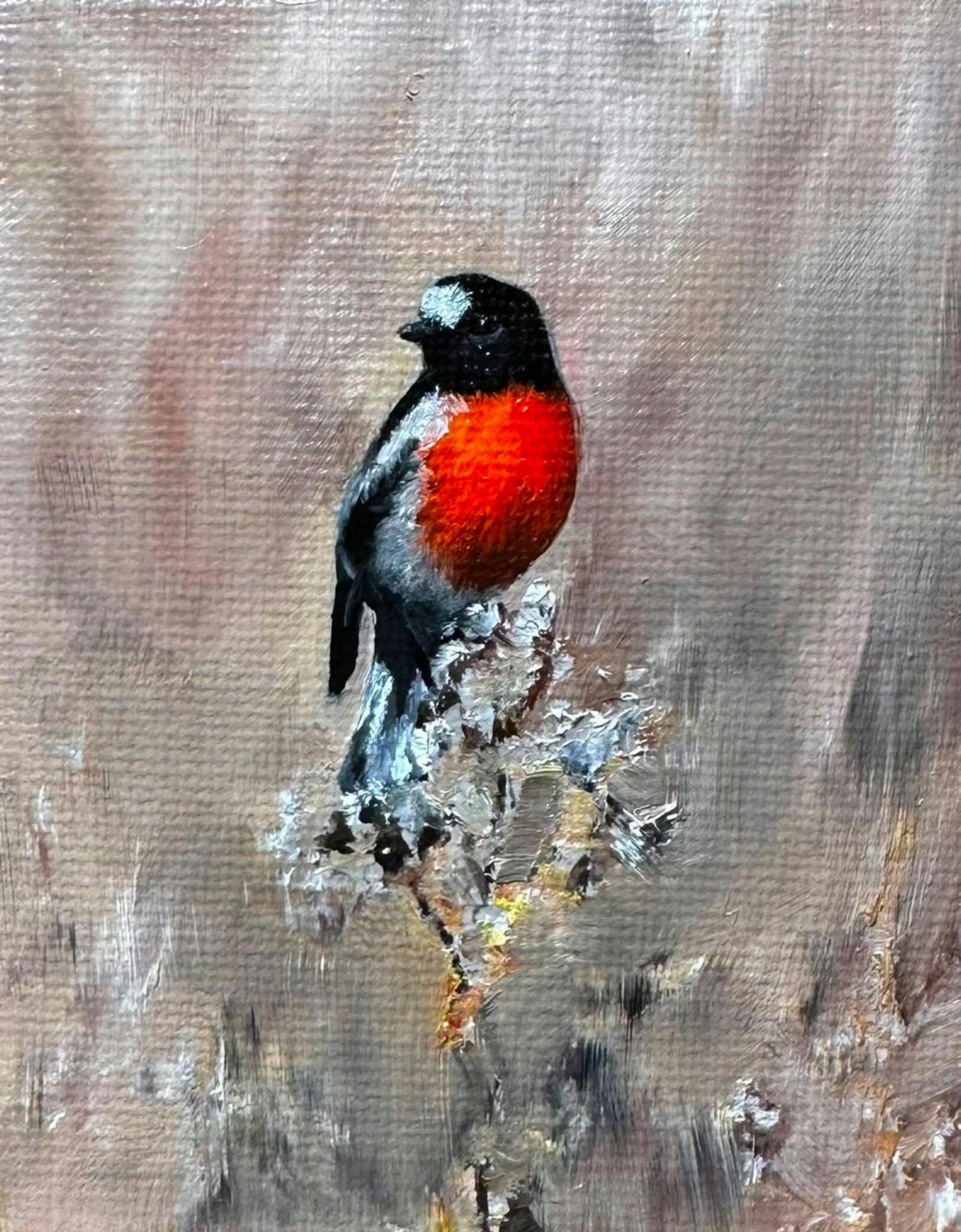Scarlet Robin painting by Penny Deacon