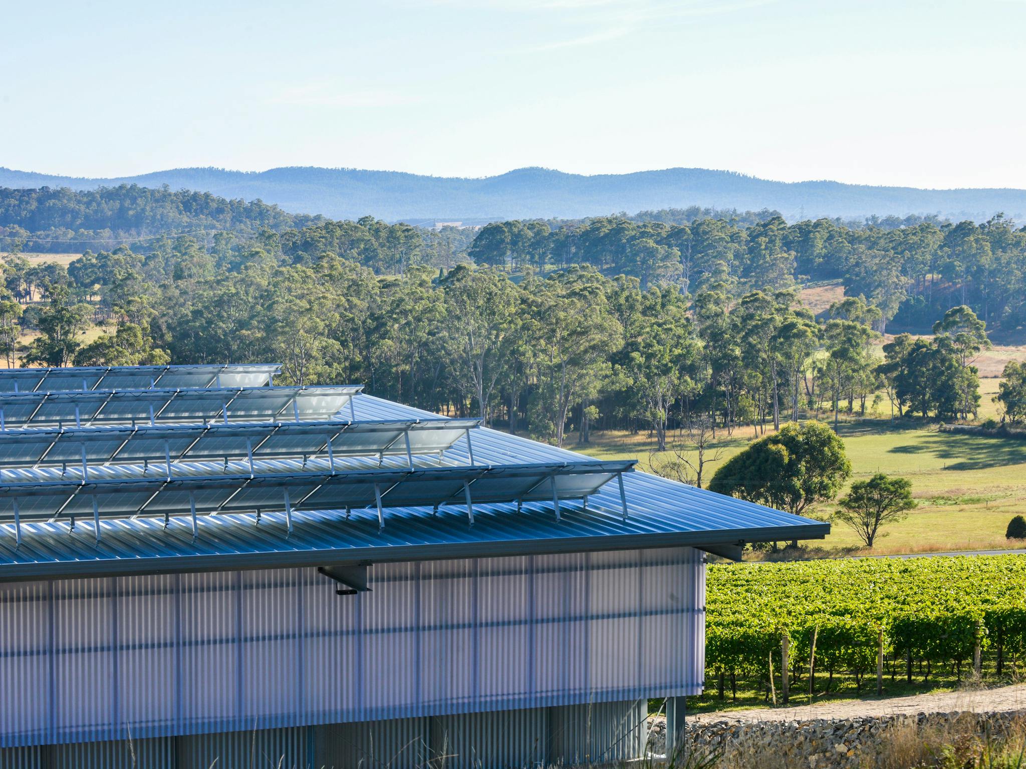 Solar powered wine