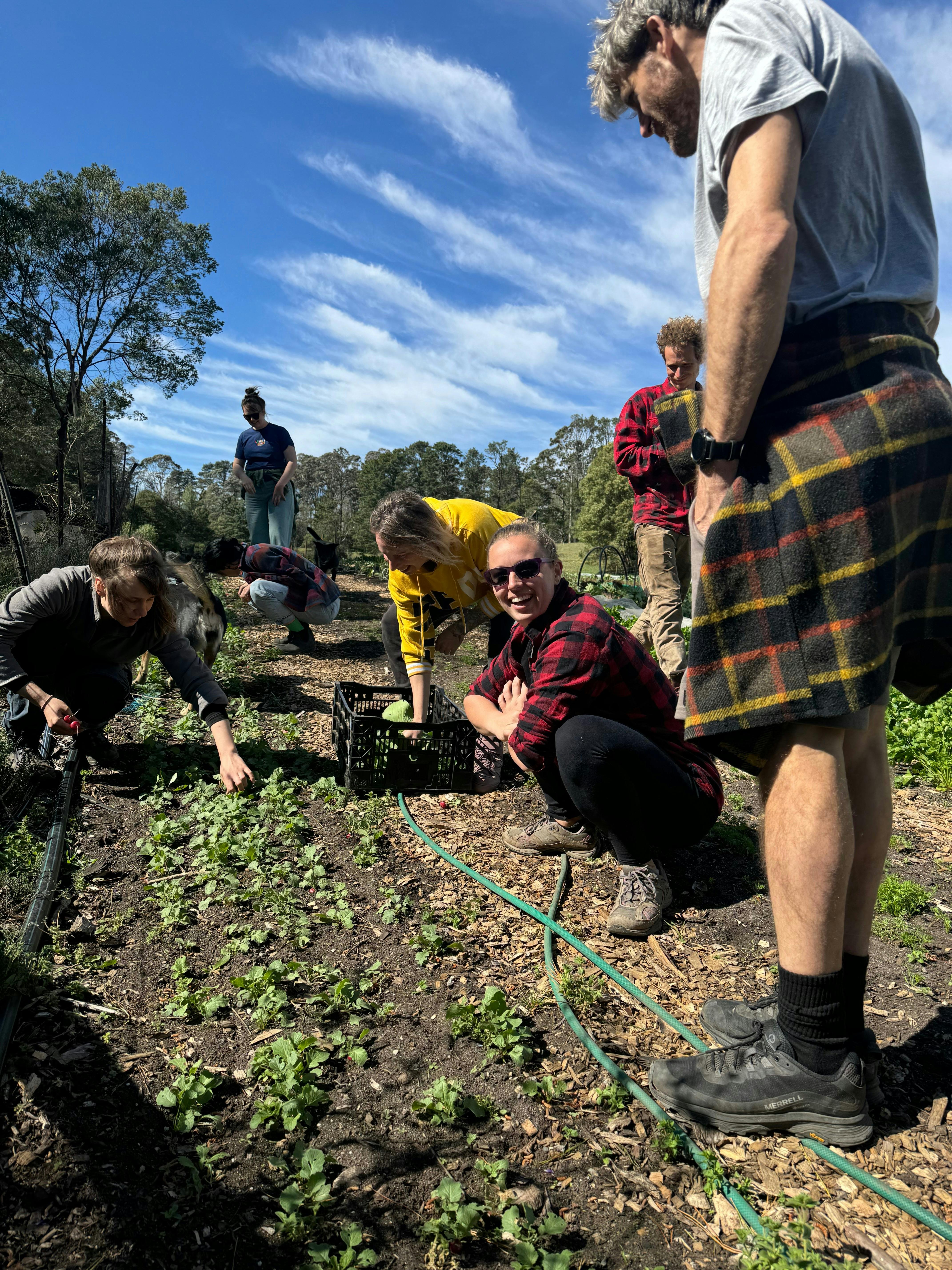 Eine Gruppe von Freunden auf einer Bauernhoftour durch einen Bio-Gemüsegarten