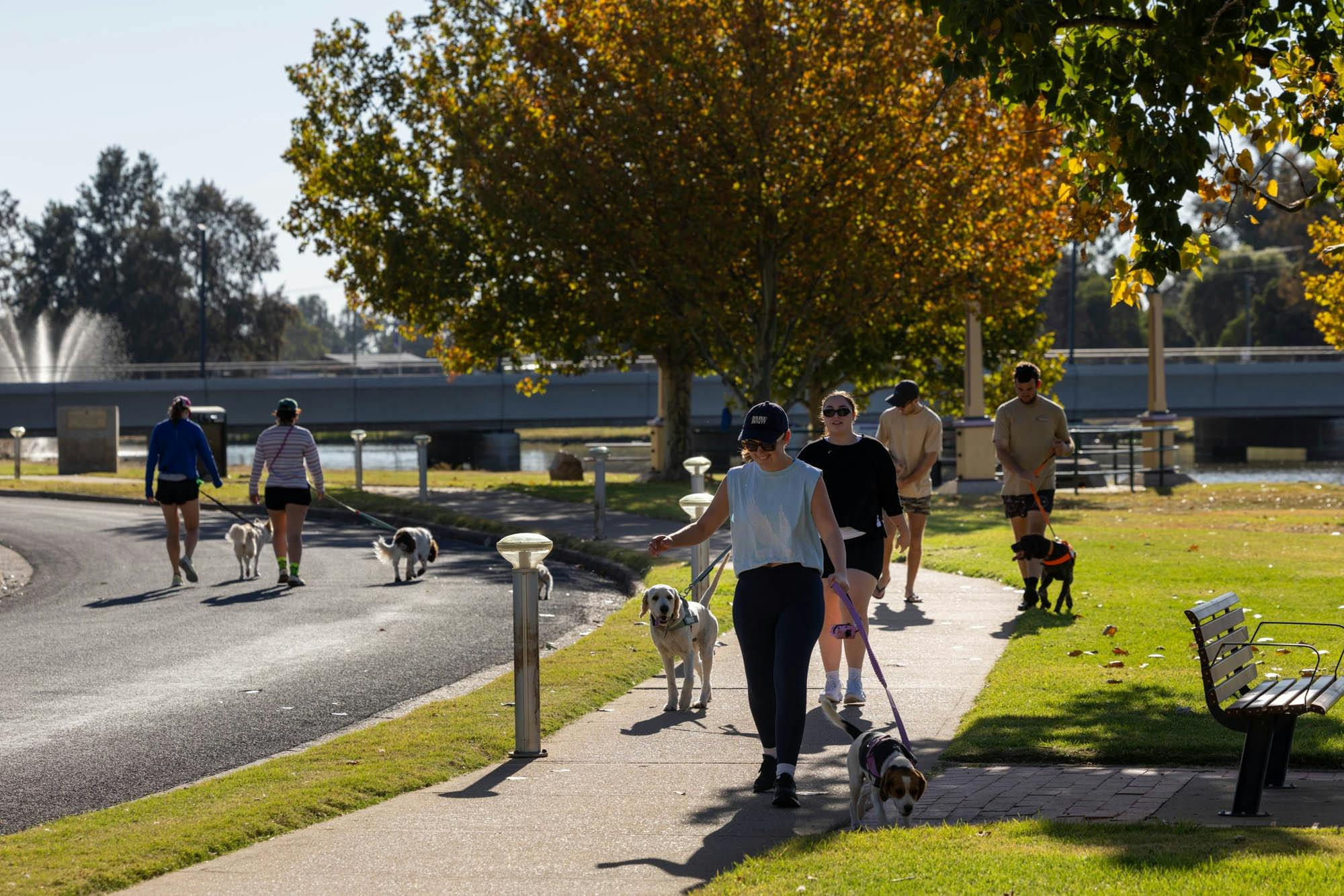 Lake Forbes Pet Friendly Recreation area