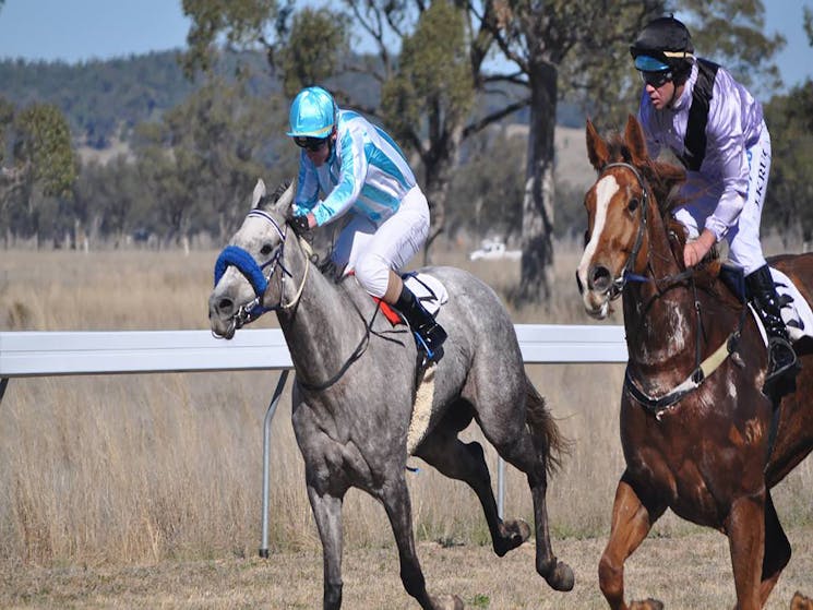 Wean Picnic Races