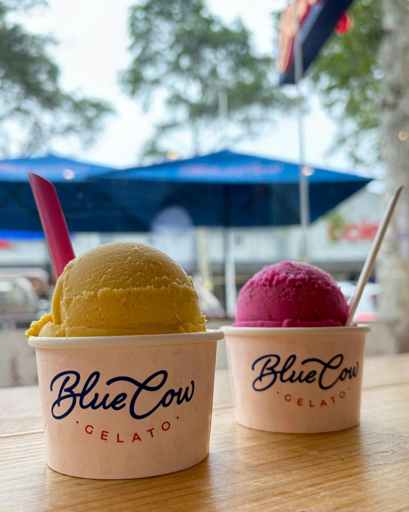 Blue Cow Gelato