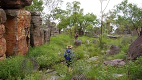 Barrk SandstoneWalk