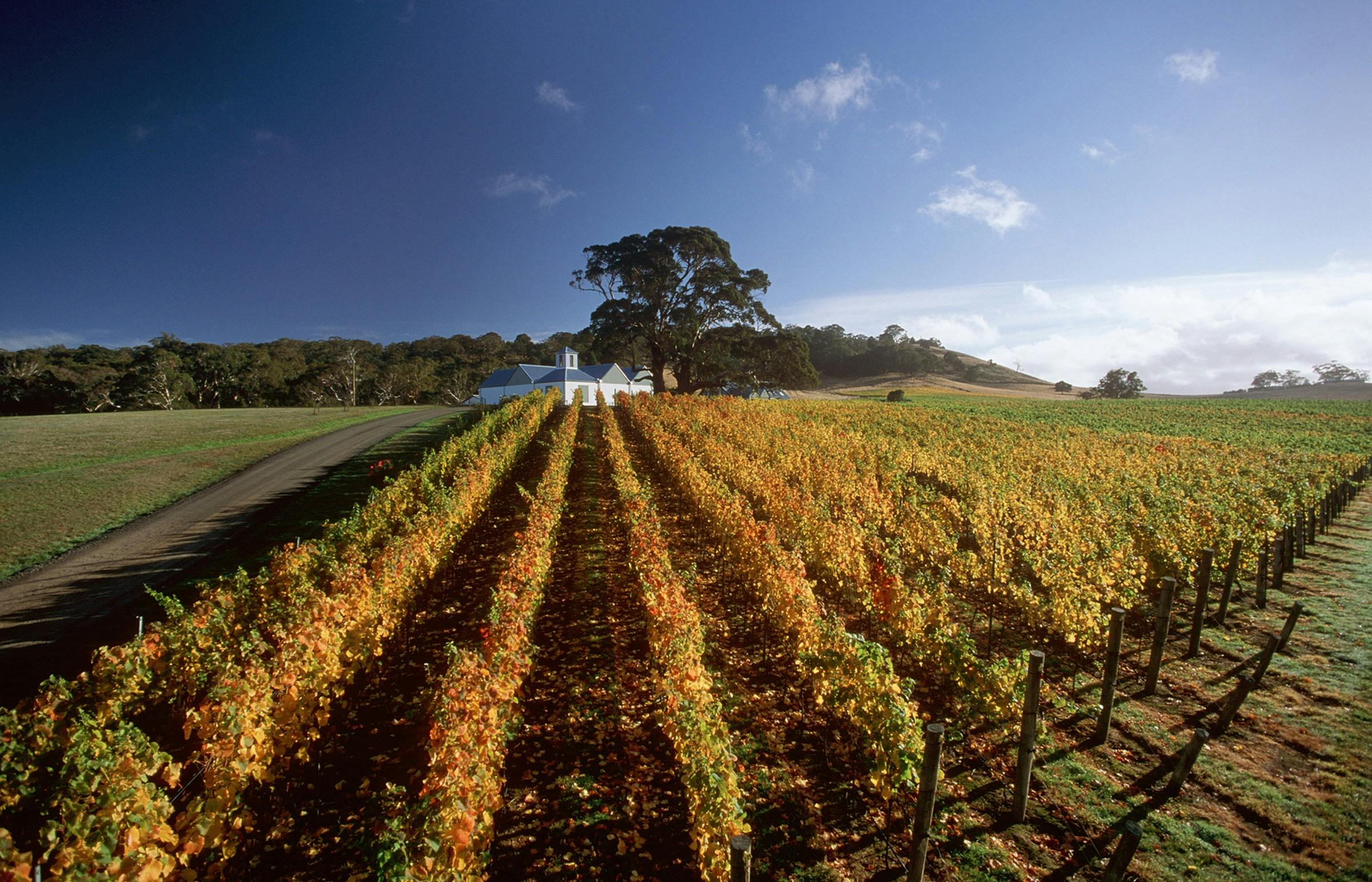 Hanging Rock Winery