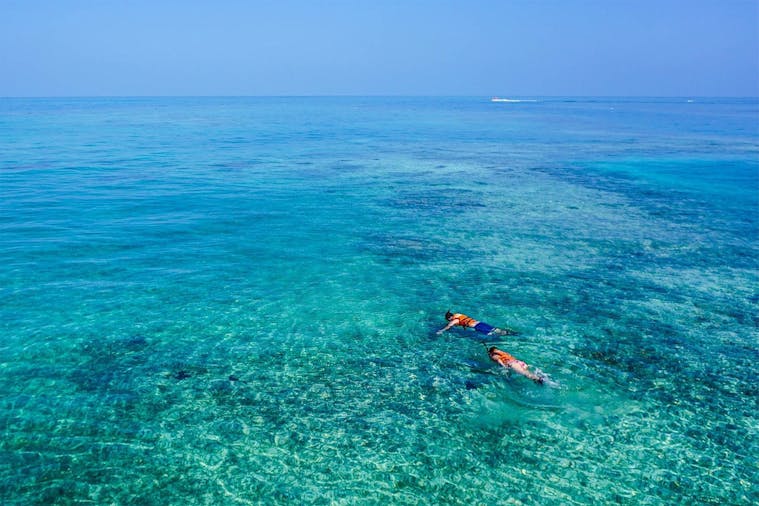 Snorkel, Surf and Sealife on the Fleurieu