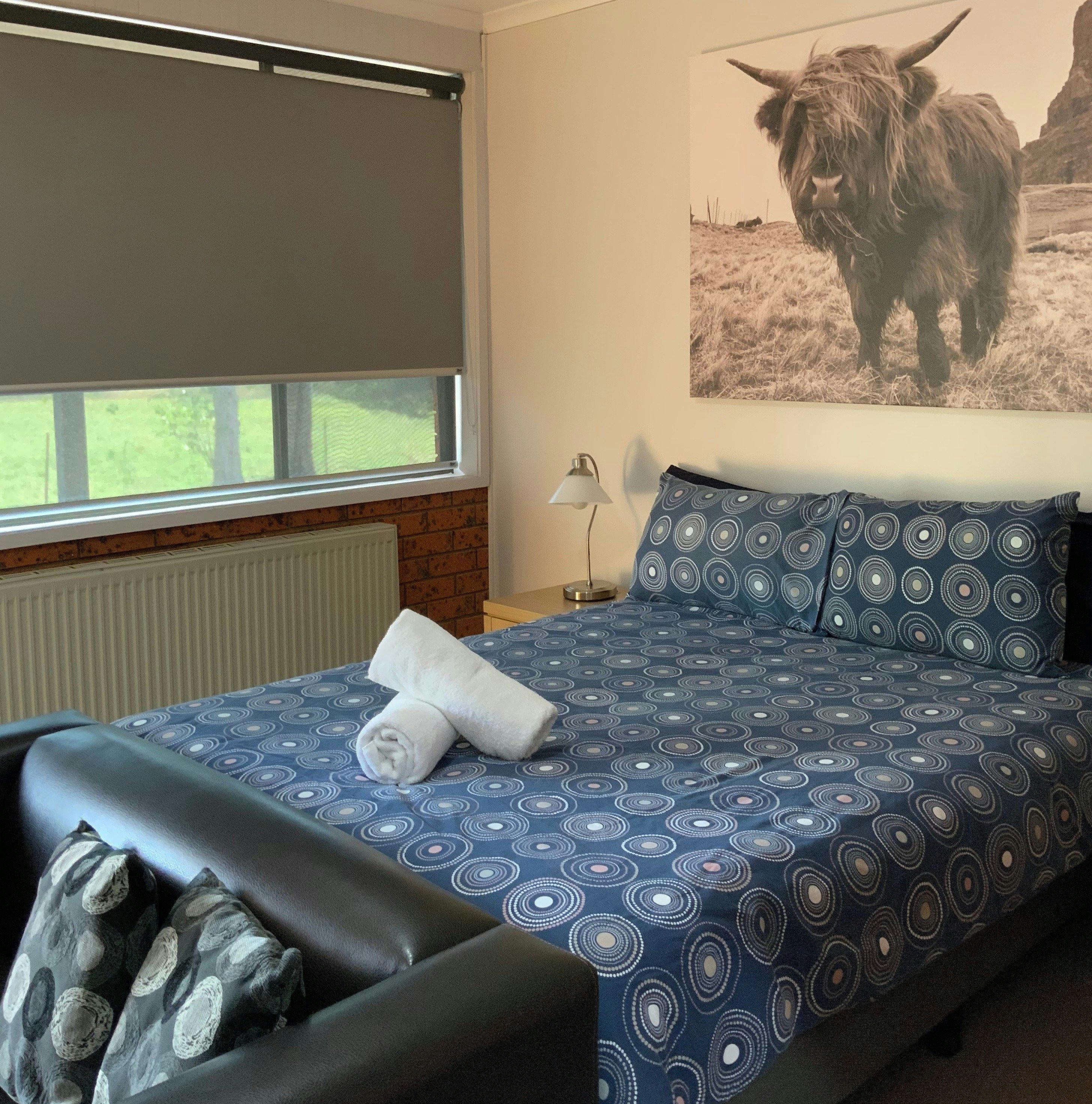 Family Room Queen Bed