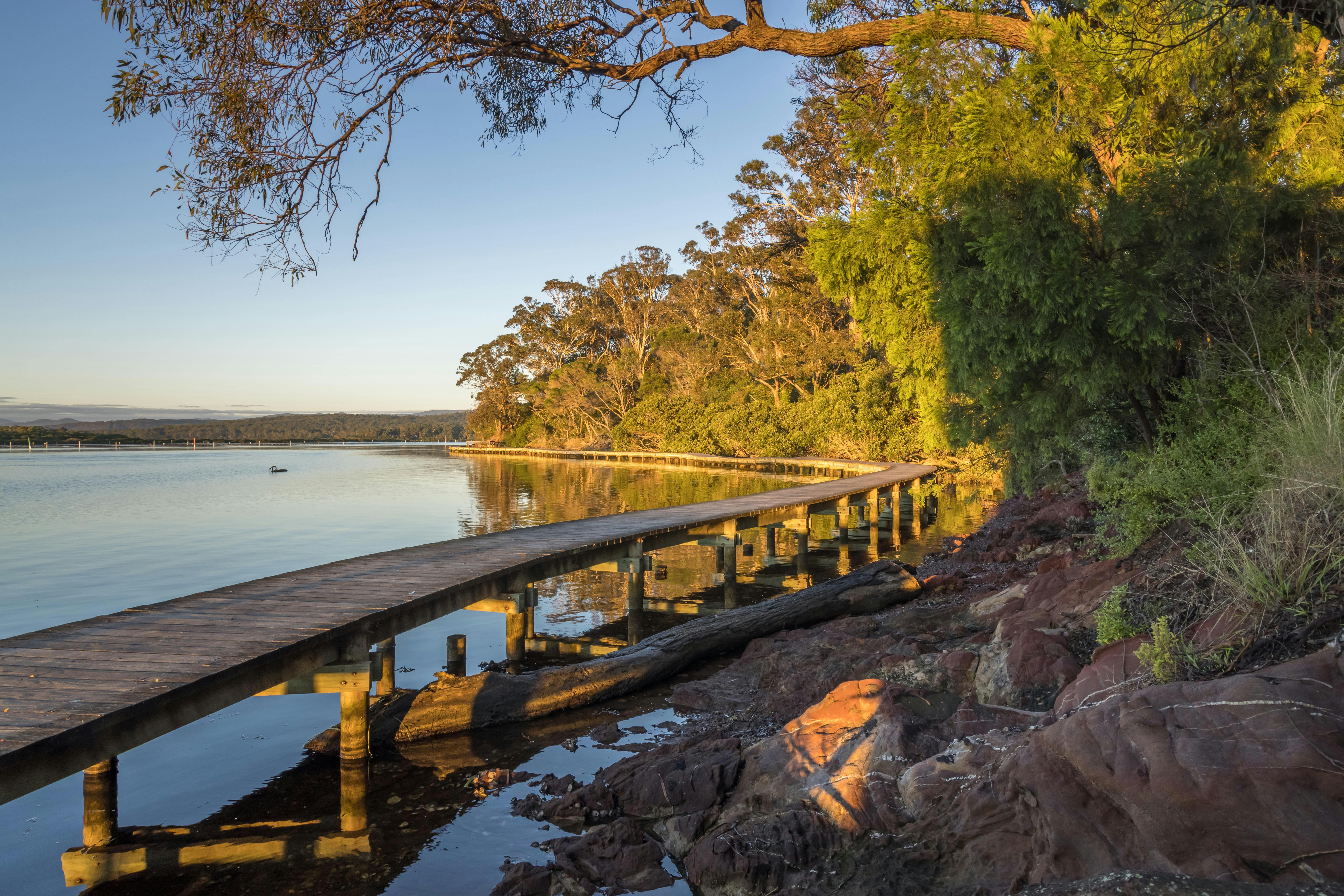 Merimbula Boardwalk, walks, Merimbula, walking, dog friendly, Sapphire Coast, South Coast