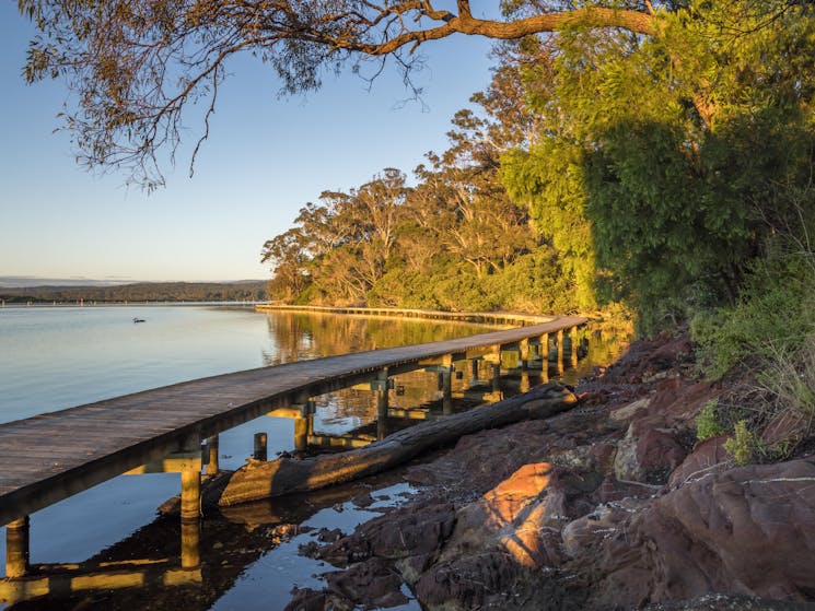 Merimbula Boardwalk, walks, Merimbula, walking, dog friendly, Sapphire Coast, South Coast