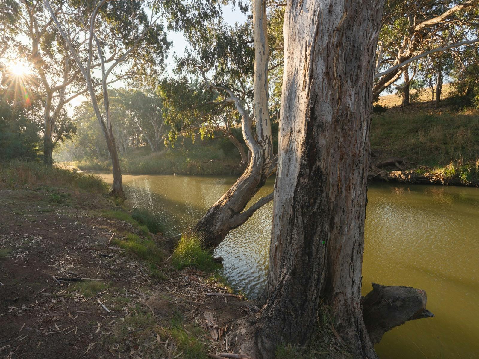 Lozzbert Reserve