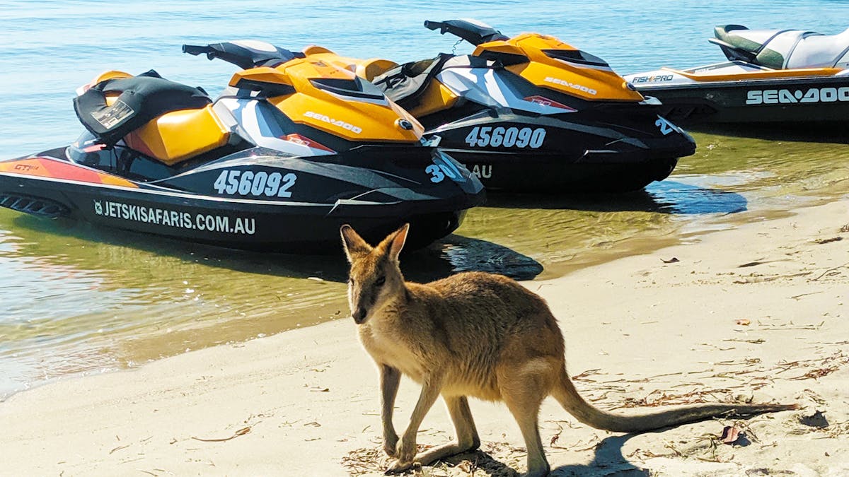 Sth stradbroke island