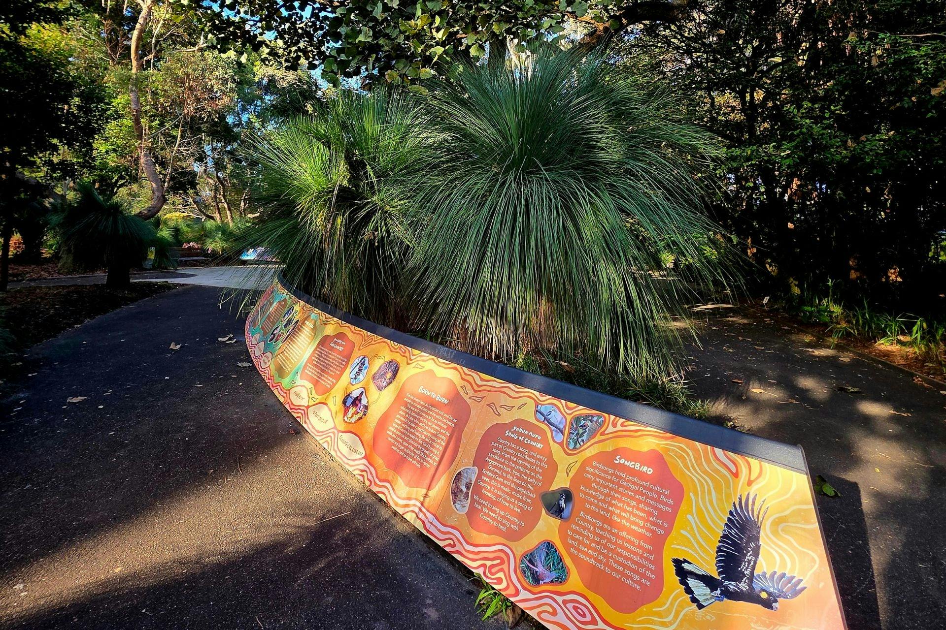 Cadi Jam Ora shares stories from Gadigal Traditional Descendents, Elders and knowledge holders.