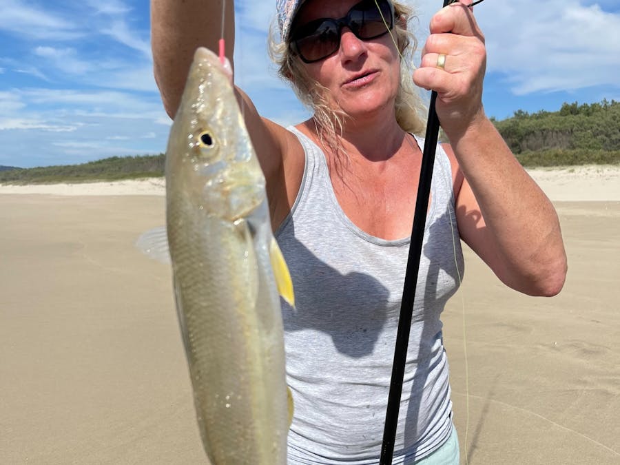 Sand Whiting