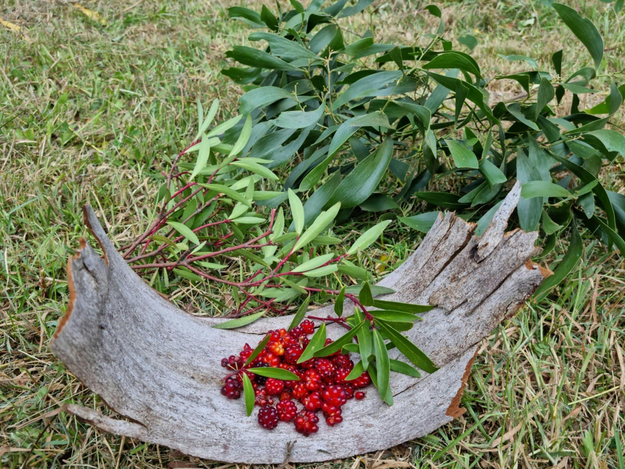 Bush Tucker & Traditional Aboriginal Weaving with Wolgalu Footprints