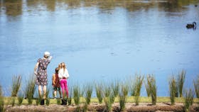 Gold Coast Regional Botanic Gardens