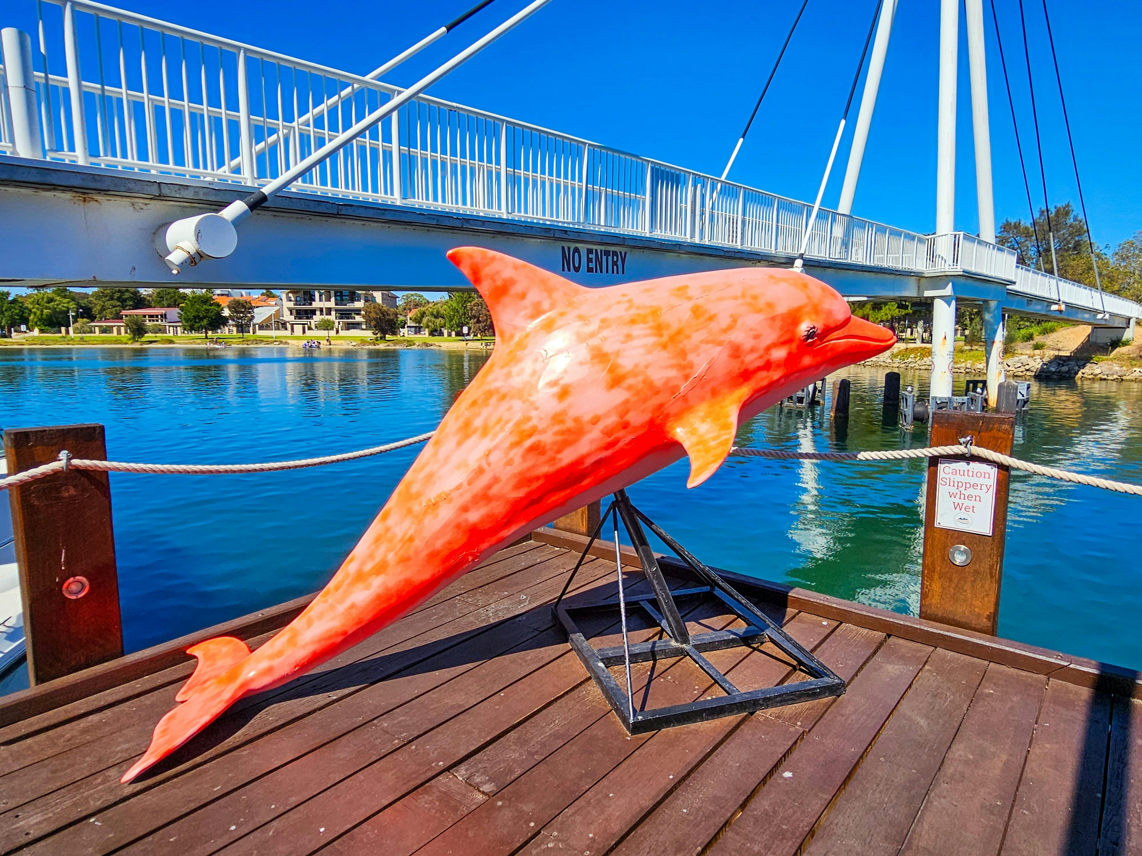 Dolphin Sculpture - Mandurah Art Trail