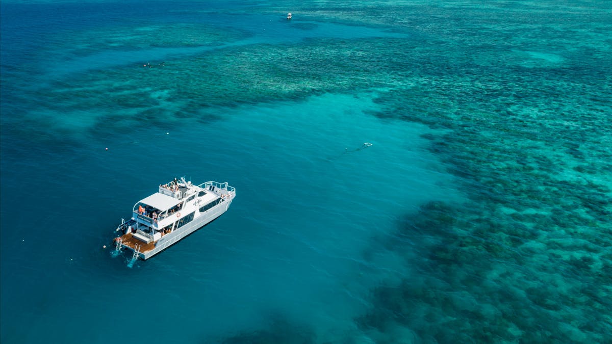 Ocean Freedom - 20 M Motor Catamaran on Great Barrier Reef Mooring , Cairns