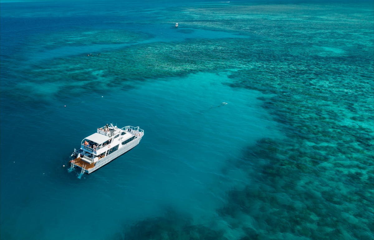 Ocean Freedom - 20 M Motor Catamaran on Great Barrier Reef Mooring , Cairns