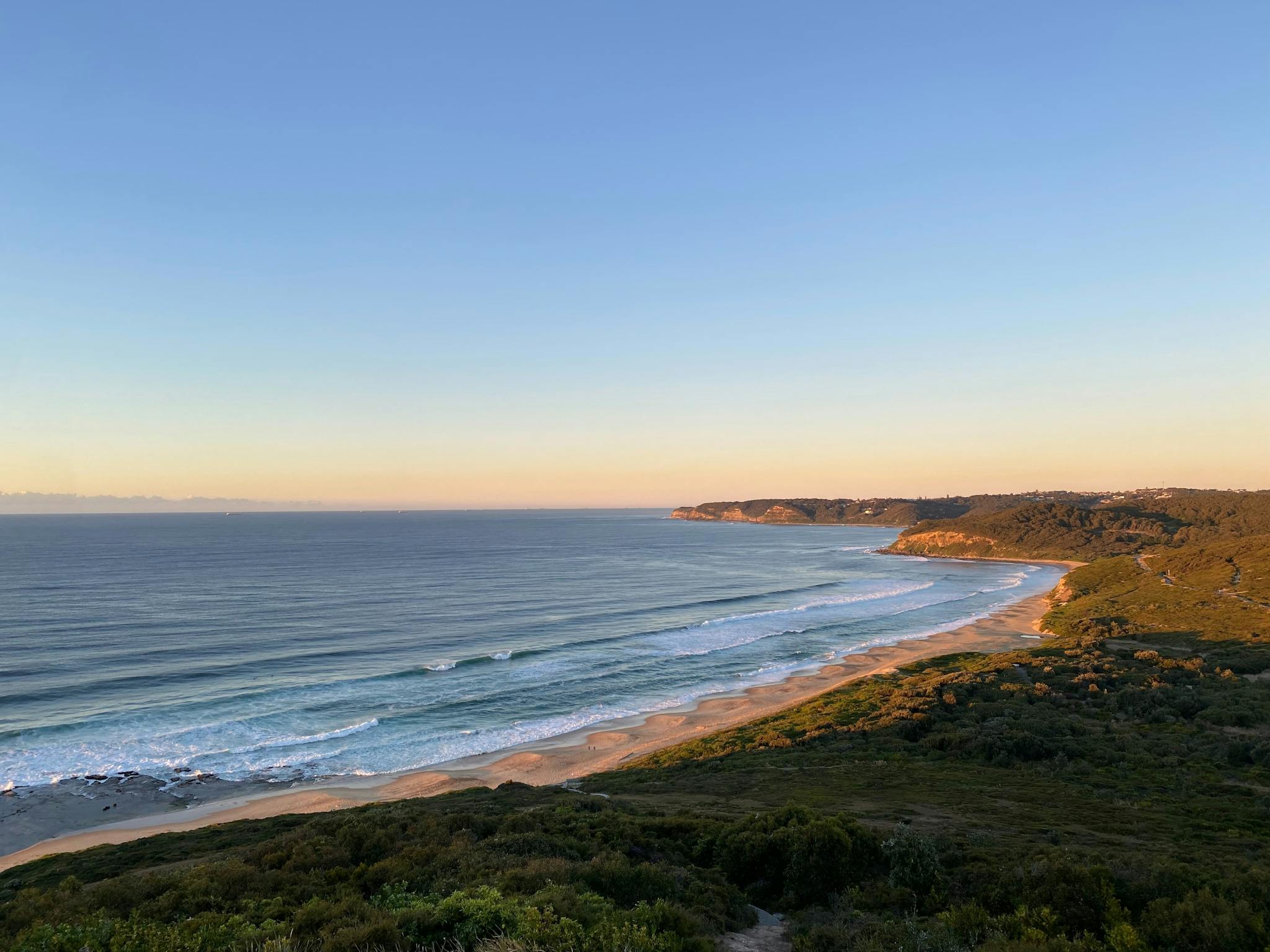 A beach and forest at sunrise