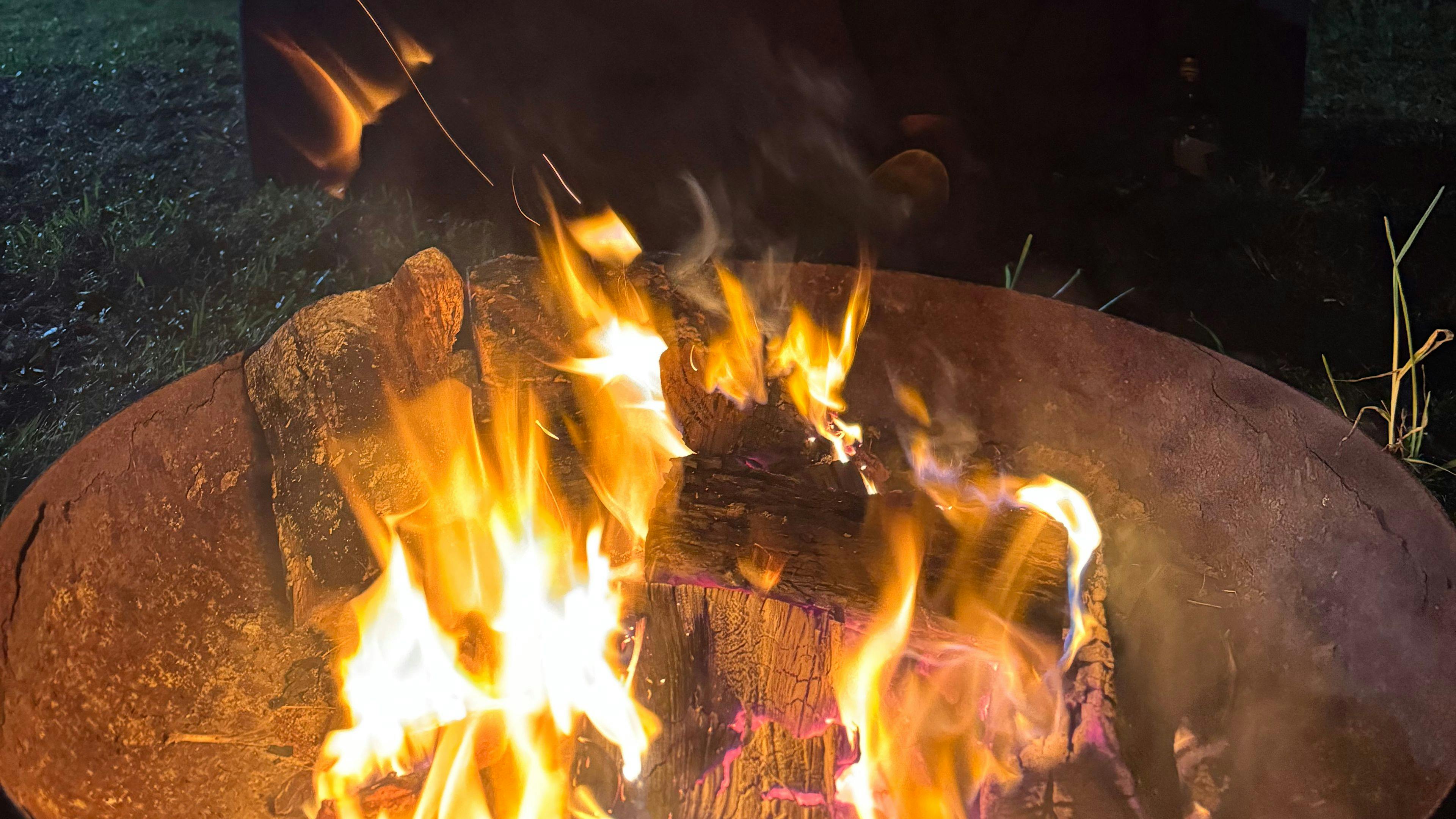 Semi-Rural Tropical Dog Oasis