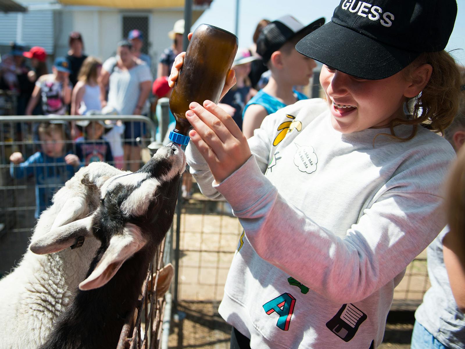 A young girl holds a bottle while a kid and a lamb fight to drink from it. A young girl holds a bottle while a kid and a lamb fight to drink from it.