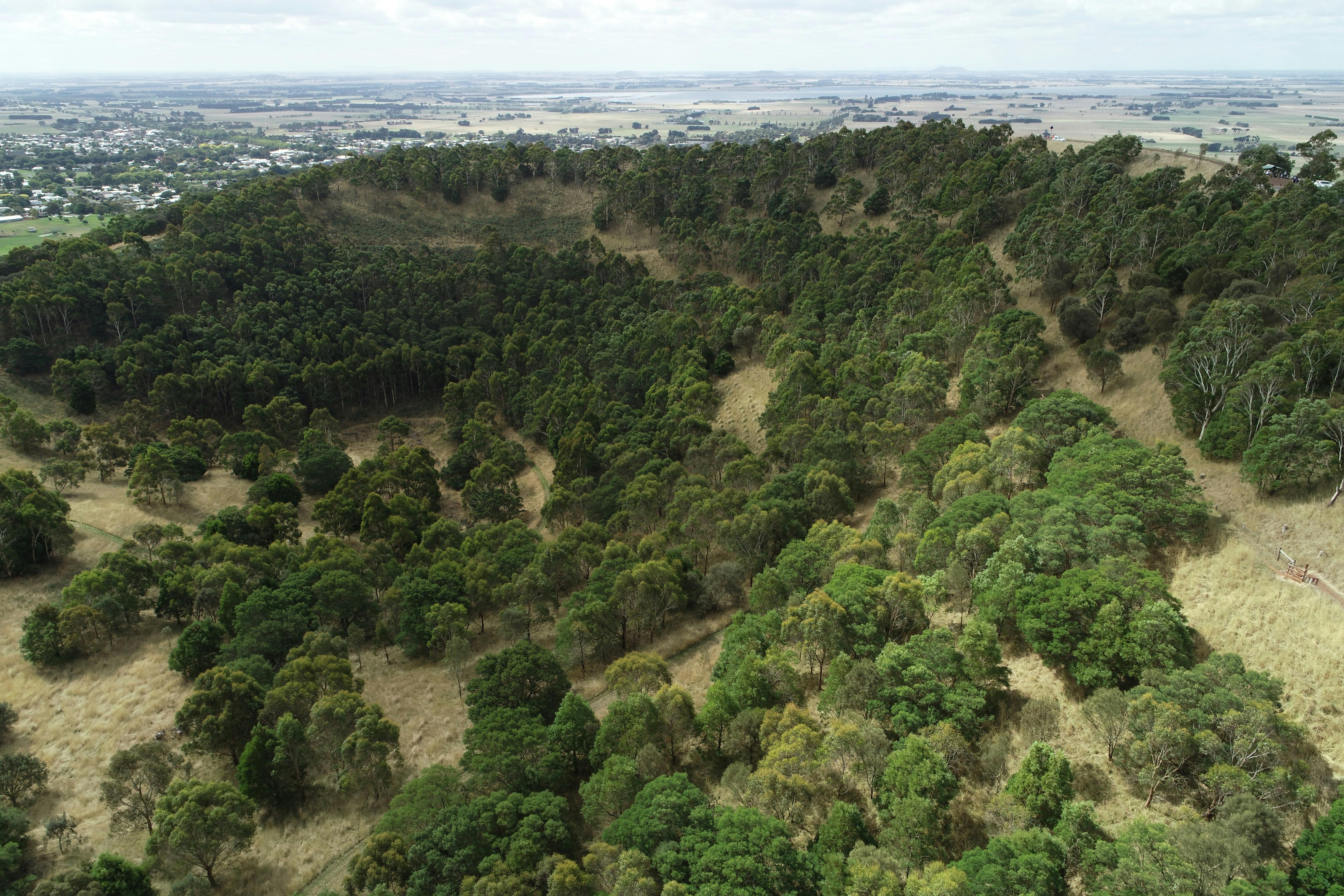 Aerial view of Mt Leura
