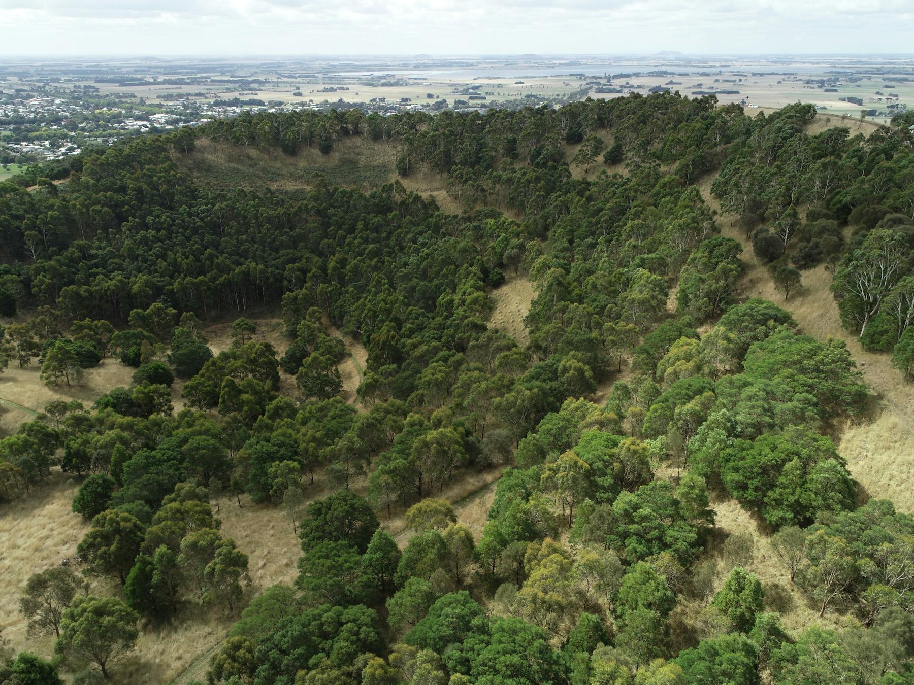 Aerial view of Mt Leura