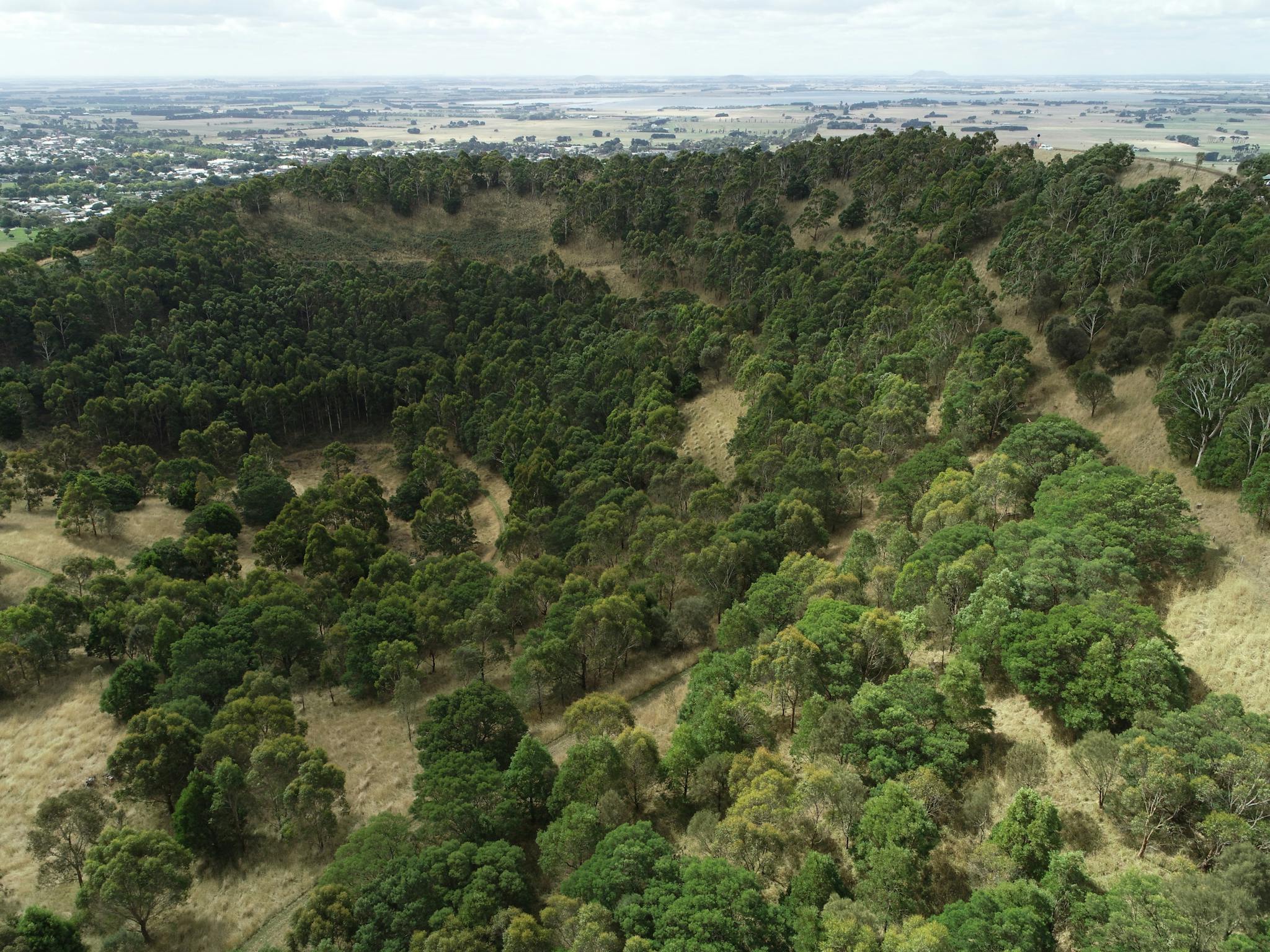 Aerial view of Mt Leura