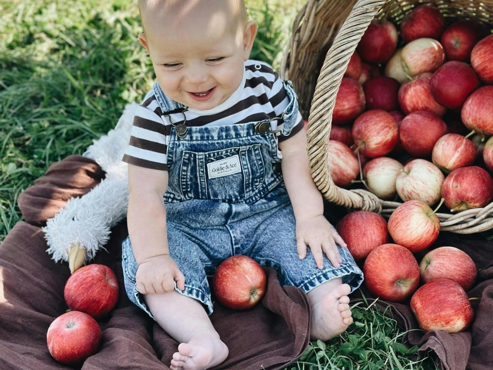 Easter Long Weekend Apple Picking At Lenswood