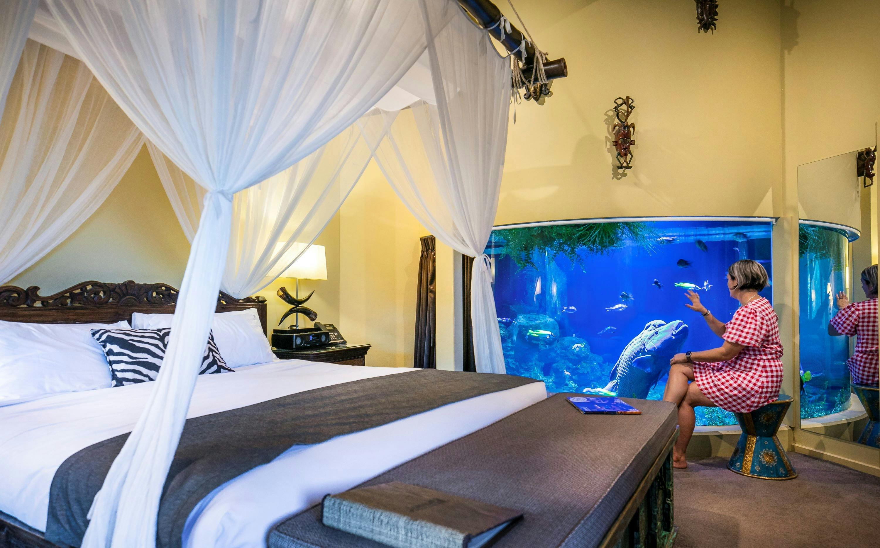 Guest admiring Oscar the Moari Wrasse in the uShaka Reef Room