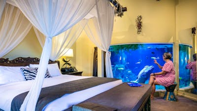 Guest admiring Oscar the Moari Wrasse in the uShaka Reef Room