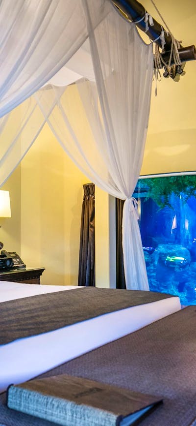 Guest admiring Oscar the Moari Wrasse in the uShaka Reef Room