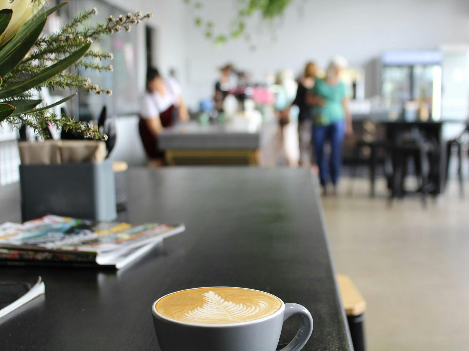 Joel's Journeys Eumundi Tour Deluxe