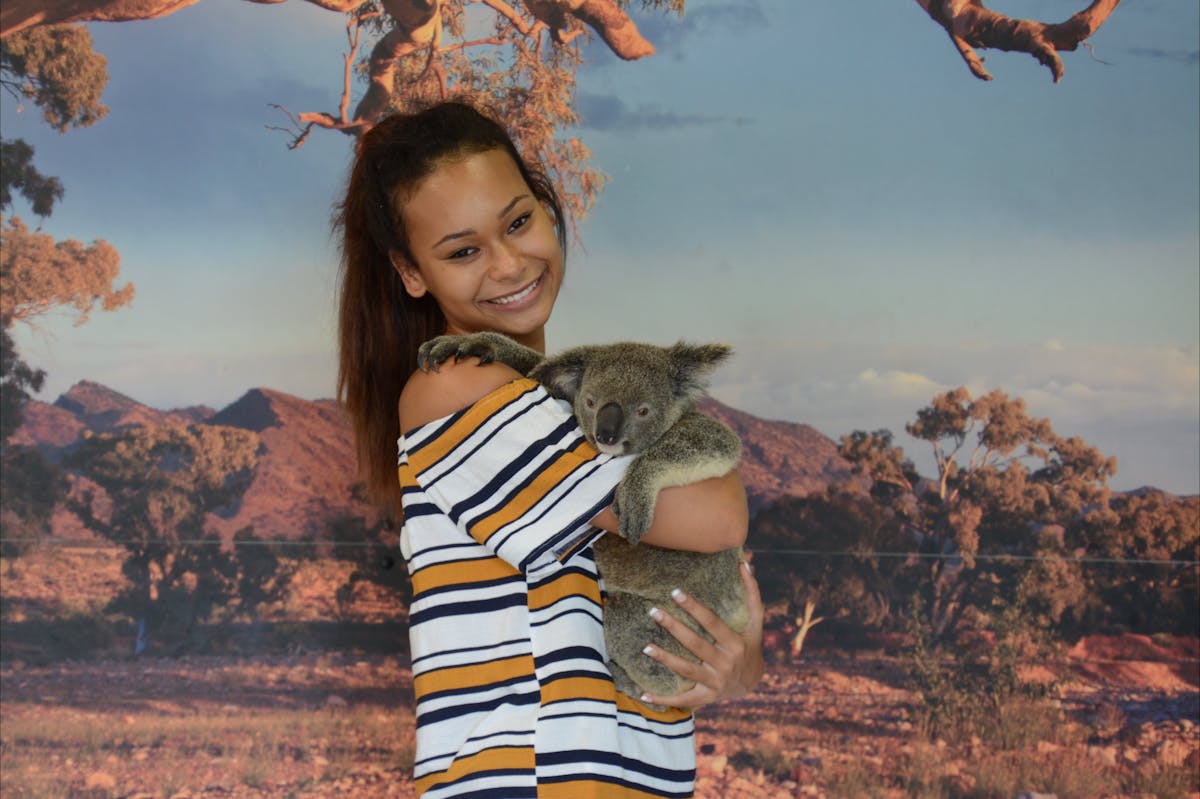 Cuddle and Koala (optional extra cost) at Kuranda Koala Gardens