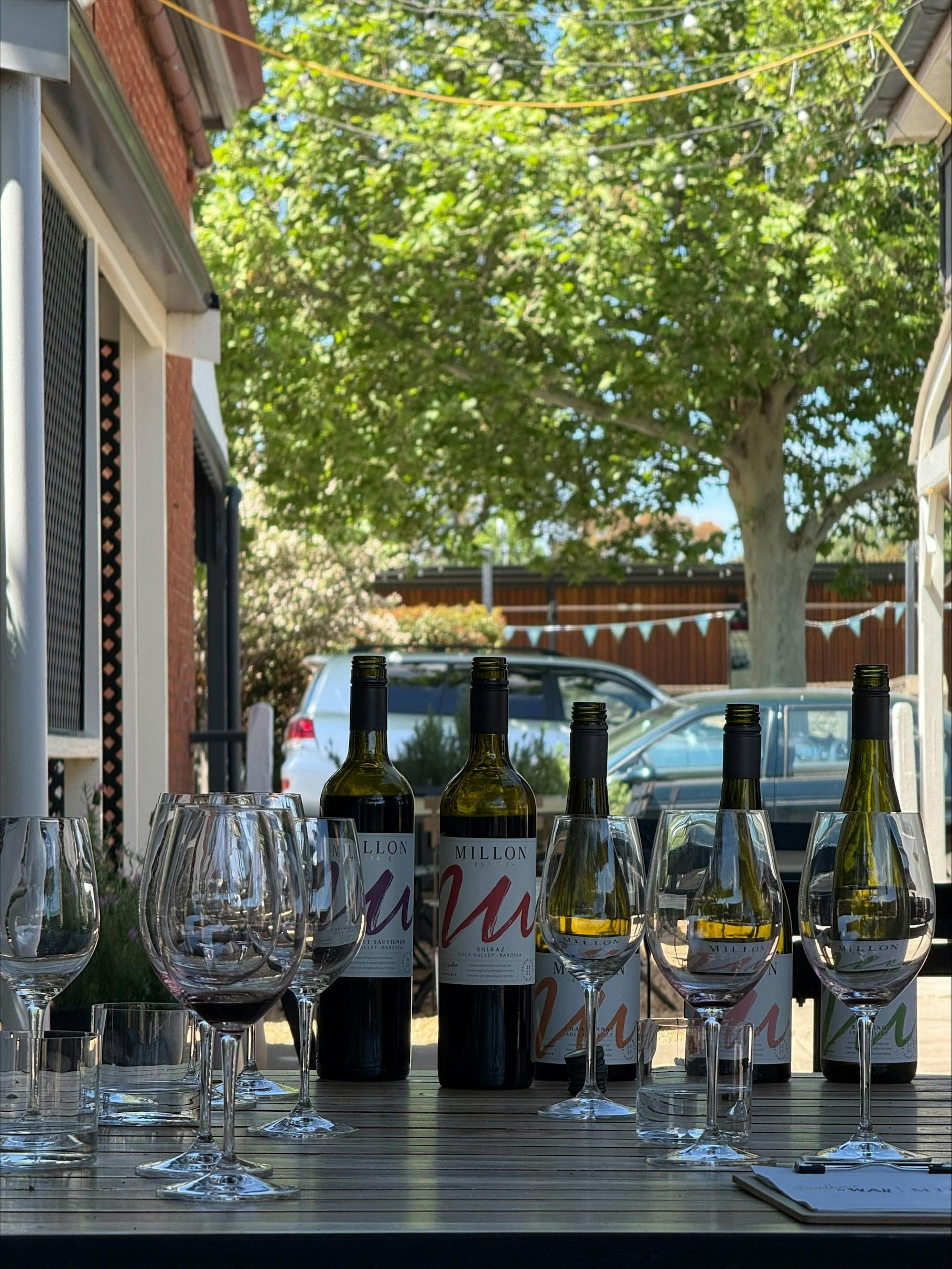 Wine & Dumpling Nights