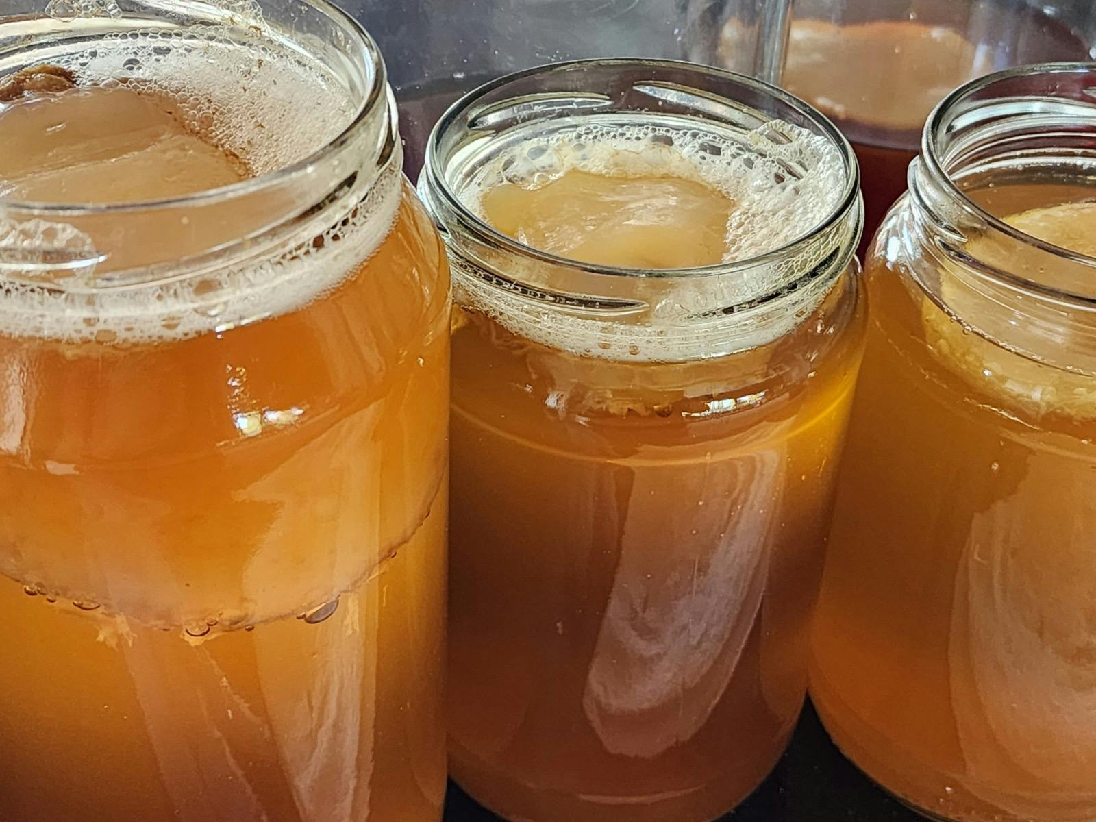 Biancas Kitchen, Fermented Drinks