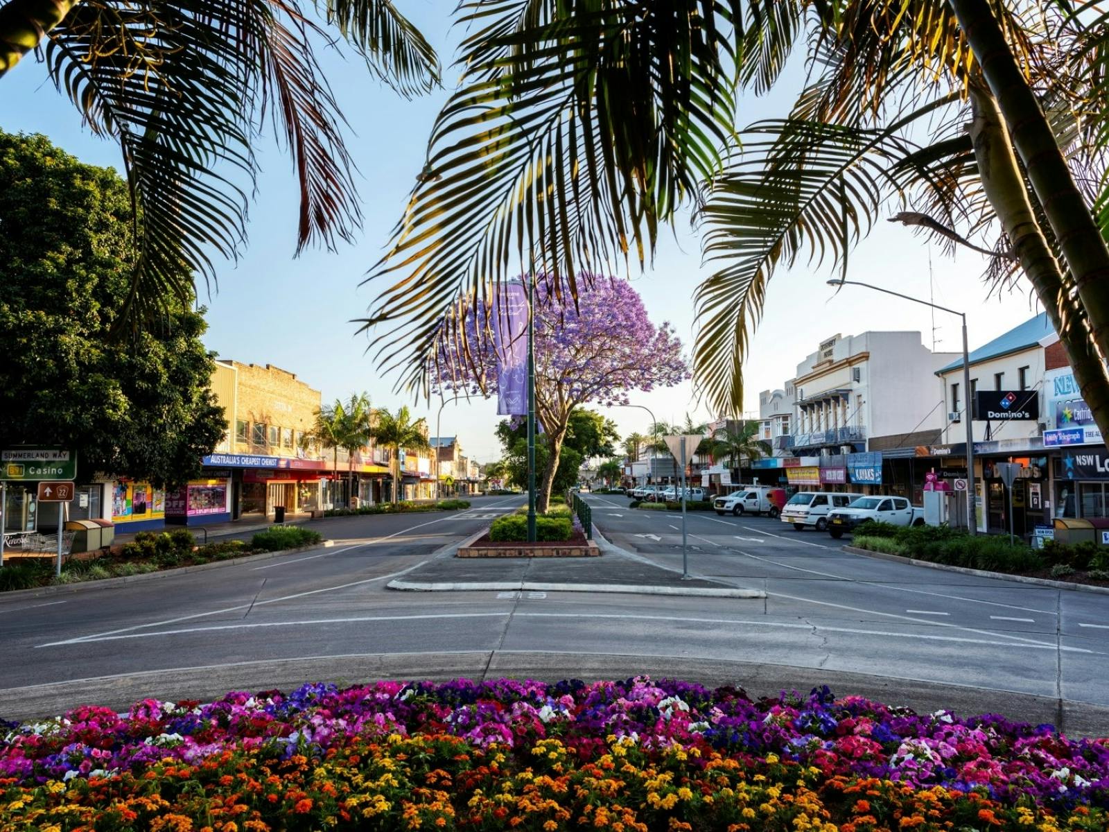 Grafton, Jacaranda capital of Australia. Heritage buildings, vibrant arts scene & the Clarence River